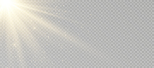 Wall Mural - yellow glowing light explodes on a transparent background. sparkling magical dust particles. bright 