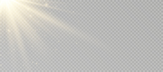 Wall Mural - yellow glowing light explodes on a transparent background. sparkling magical dust particles. bright 