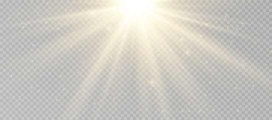 Wall Mural - yellow glowing light explodes on a transparent background. sparkling magical dust particles. bright 