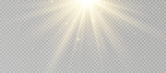 Wall Mural - yellow glowing light explodes on a transparent background. sparkling magical dust particles. bright 