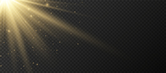 Wall Mural - yellow glowing light explodes on a transparent background. sparkling magical dust particles. bright 
