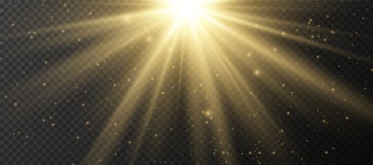 Wall Mural - yellow glowing light explodes on a transparent background. sparkling magical dust particles. bright 