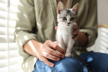 Wall Mural - Man with cute kitten at home, closeup