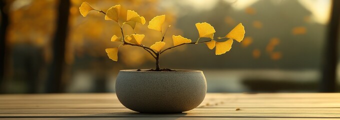 Canvas Print - A small potted tree with yellow leaves, set against a serene background.