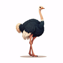 cartoon ostrich illustration on white background