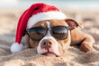© MonkaLemonka - funny pitbull dog in santa claus hat & sunglasses burried in the beach sand; concept of spending winter christmas holiday / vacation in warm exotic ocean coast; relaxing scene with sea water and sand