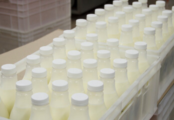 Milk bottle in a row in the market.