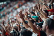© Micha - Vibrant crowd cheering at an outdoor sports event