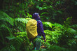 © Michael - Female tourist in a rain jacket with a raincovered backback looks into a wet jungle while walking through ferns. Poco dos Pulgas Waterfalls, Madeira, Portugal, Europe.