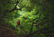© Michael - Male tourist with waterproof clothing  stands on a forest path with ferns and looks into the wet rainforest. Poco dos Pulgas waterfalls, Madeira, Portugal, Europe.