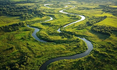 Canvas Print - Aerial view of abstract wetlands and winding river