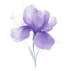 Wall Mural - In this watercolor, the iris flowers are isolated on a white background.