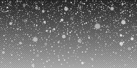 Wall Mural - vector winter flurry with snowflakes swirling. delicate snow crystals forming a natural winter scene