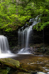 Wall Mural - waterfalls in scenic ricketts glen state park, pennsylvania