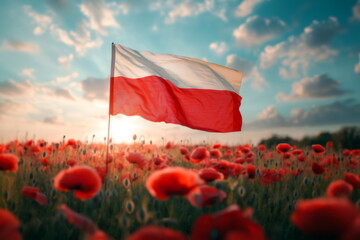 Polish flag waving in poppy field at sunset. November 11. Poland Independence Day. National day of Poland.