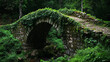 © ABX - Weathered stone bridge overgrown with ivy in forest