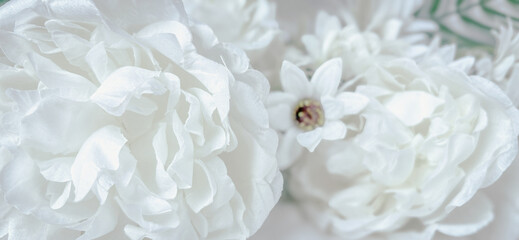 Close-up image showcasing the delicate, soft, and intricate texture of white flower petals. Modern photos with beautiful and soft color tones for banners and posters.