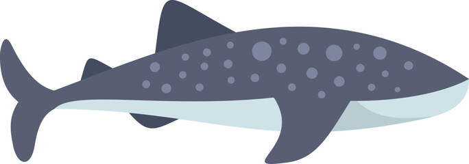 Poster - Friendly whale shark with white spots is swimming in the ocean