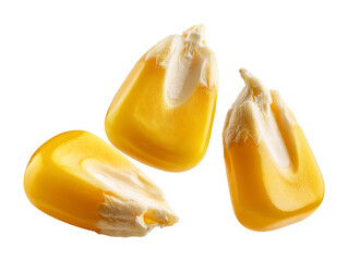 Fresh corn kelnes on transparent background