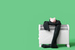 © Pixel-Shot - Electric heater with piggy bank and scarf on green background. Concept of heating season