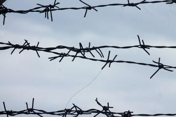 Barbed wire. Barbed wire on fence 