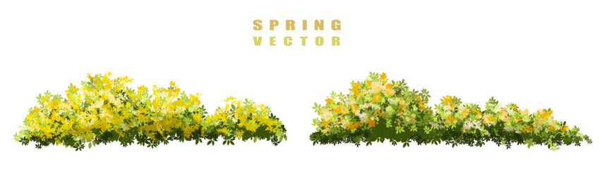 Fototapete - Vector of tree or blooming  side view isolated on white background ,watercolor tree elevation for landscape concept,environment scene,eco design,blossom garden for spring