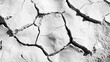 © Timeless Touch - A close-up shot of desert salt flats, with the surface cracked into geometric shapes and patterns, creating a stark, abstract texture
