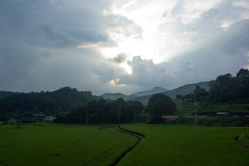 Canvas Print - 
It is a rural landscape covered in dark clouds.