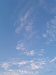 Wall Mural - 
It's a vanilla sky with feathery clouds.