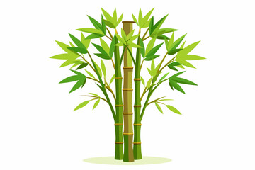 Wall Mural - Bamboo stems and leaves on white background illustration