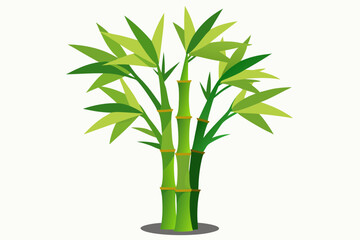 Canvas Print - Bamboo stems and leaves on white background illustration