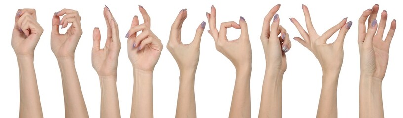 Set of woman hands showing different gestures, pointing and showing signs isolated on white background