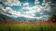© SETSU ST - A sunny poppy field in Italy with vibrant red flowers, with ample space for copy in the sky.