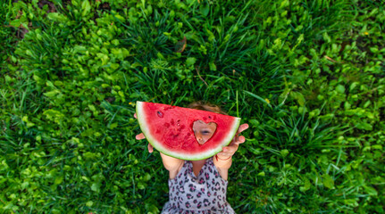 Wall Mural - A piece of watermelon in the hands of a child in a park. Selective focus.