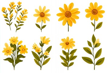 Canvas Print - Yellow flowers on a white background.