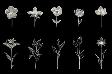 Sticker - Elegant white line drawings of various flowers and plants on a black background.