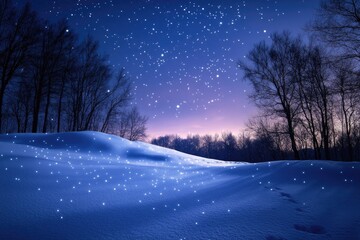 Wall Mural - Snow falling on a snowy field at twilight with a starry sky