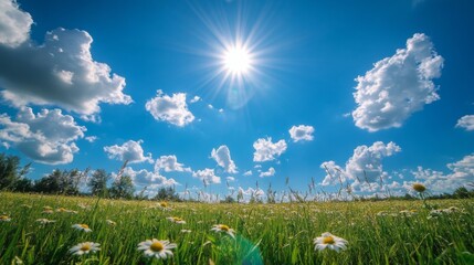 Poster - Sunny Meadow with Clouds