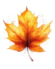 Wall Mural - a thanksgiving feast invitation card with autumn leaves isolated on white background.