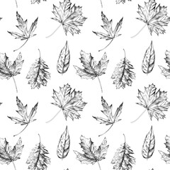 Autumn hand drawn leaves pattern. Black and white engraved ink art. Isolated leaf illustration element on white background.