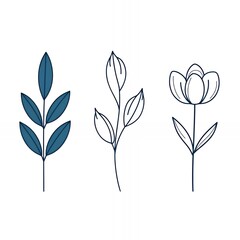 Poster - Simple line art of flowers and leaves.