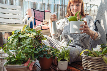 woman takes care of plants, houseplants, flowerpots, flowers, waters, sprays, on an open terrace, 