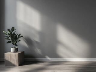 Bright and minimalistic indoor space featuring a potted plant near a shadowed wall