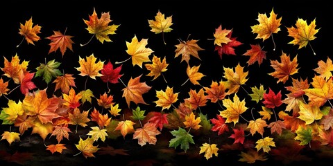 colorful autumn maple leaves falling on black background