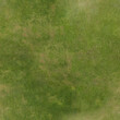 © aby - green grass texture seamless