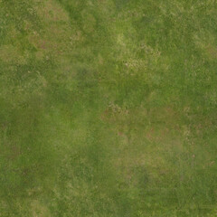 grass texture seamless