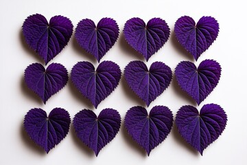 Aufkleber - Minimalist composition of purple dead-nettle leaves, arranged in a clean, simple pattern, showcasing their heart-shaped forms and soft textures