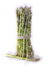 bunch of asparagus