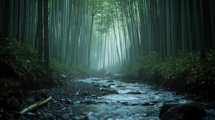 Sticker - A serene bamboo forest with a misty atmosphere and a flowing stream.