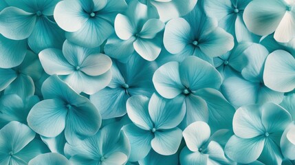 Canvas Print - A close-up view of delicate, light blue flowers creating a serene and calming atmosphere.